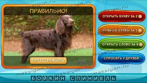 135 ответьте на вопросы