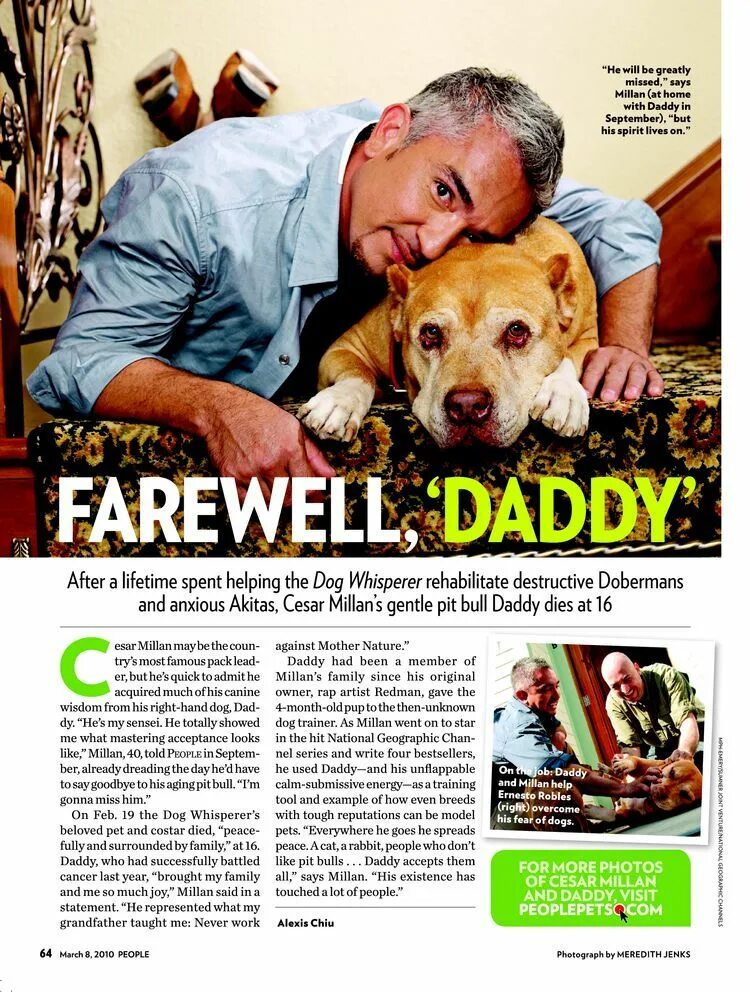 Pitbull daddy. Daddy (dog). собаки the dog daddy.