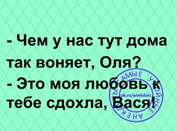 Вонять форум. Почему так воняет. Это жаркое воняет а так.