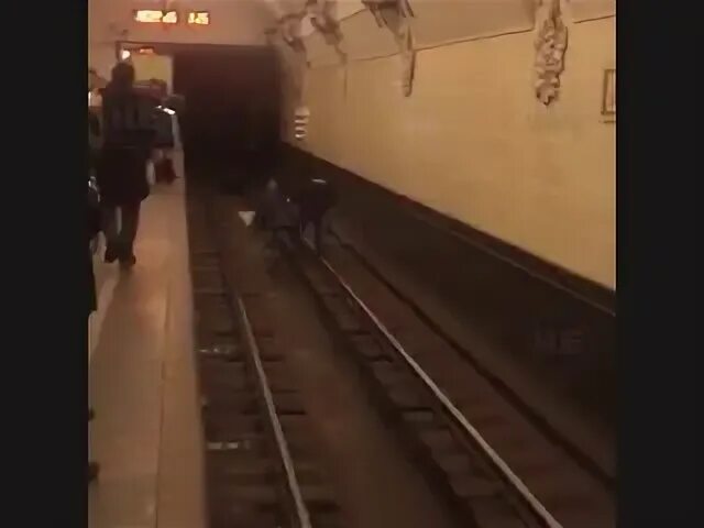 Владыкино метро мужик с баллоном зашелестел. Мужчина прыгнул под поезд в метро рязанский проспект. Человек прыгнул под поезд. Человек прыгнул под поезд. Бросился под поезд в метро.