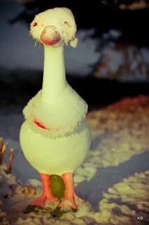 Гусик