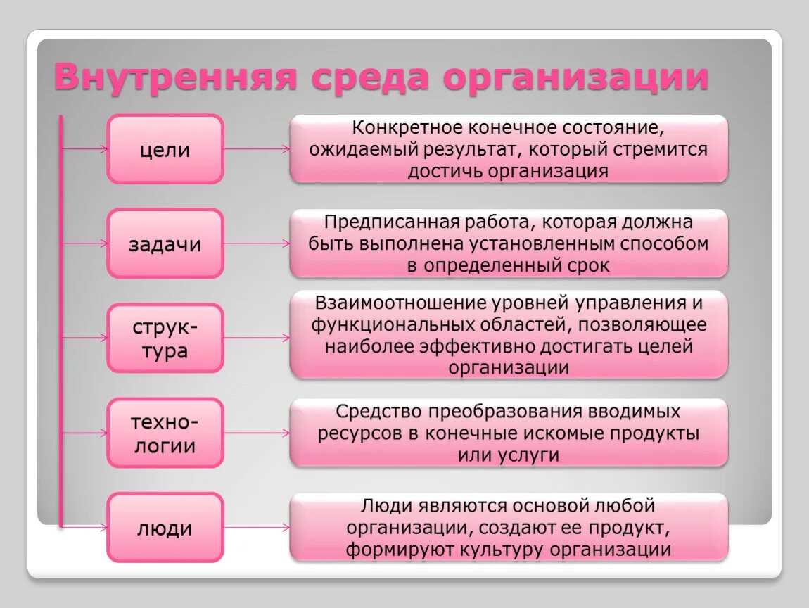 Внутренняя среда организации пример