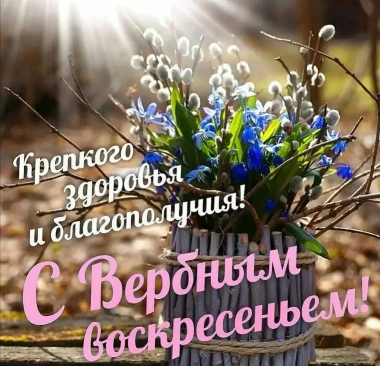 Picture background