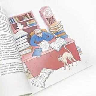 Изложено книга