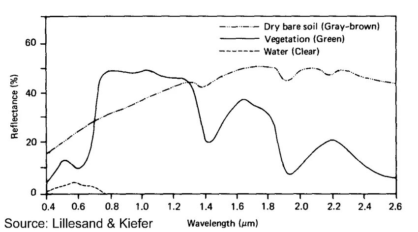 Vegetation and soils
