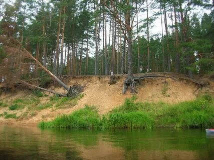 Медведица тверская область