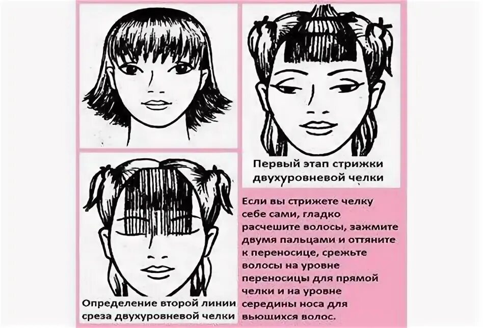 Как подстричь челку чтобы она. Схема стрижки челки. правильная стрижка челки. стрижка челки пошагово. как правильно стричь челку.