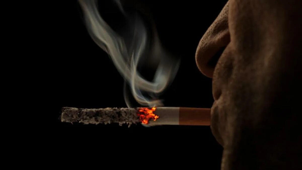 Горящая сигарета. Горящая сигарета в темноте. Горящая сигара. Уголек сигареты. Сгоревший табак