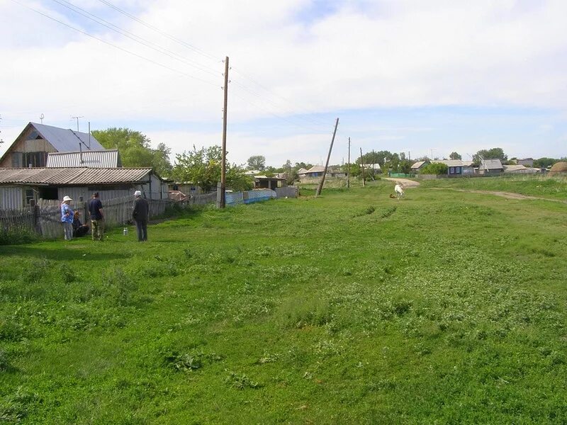 Погода в покровке родинского алтайского. Балахта дом культуры. Погода в покровке родинского алтайского. Село родино алтайский край. Село родино алтайский край.