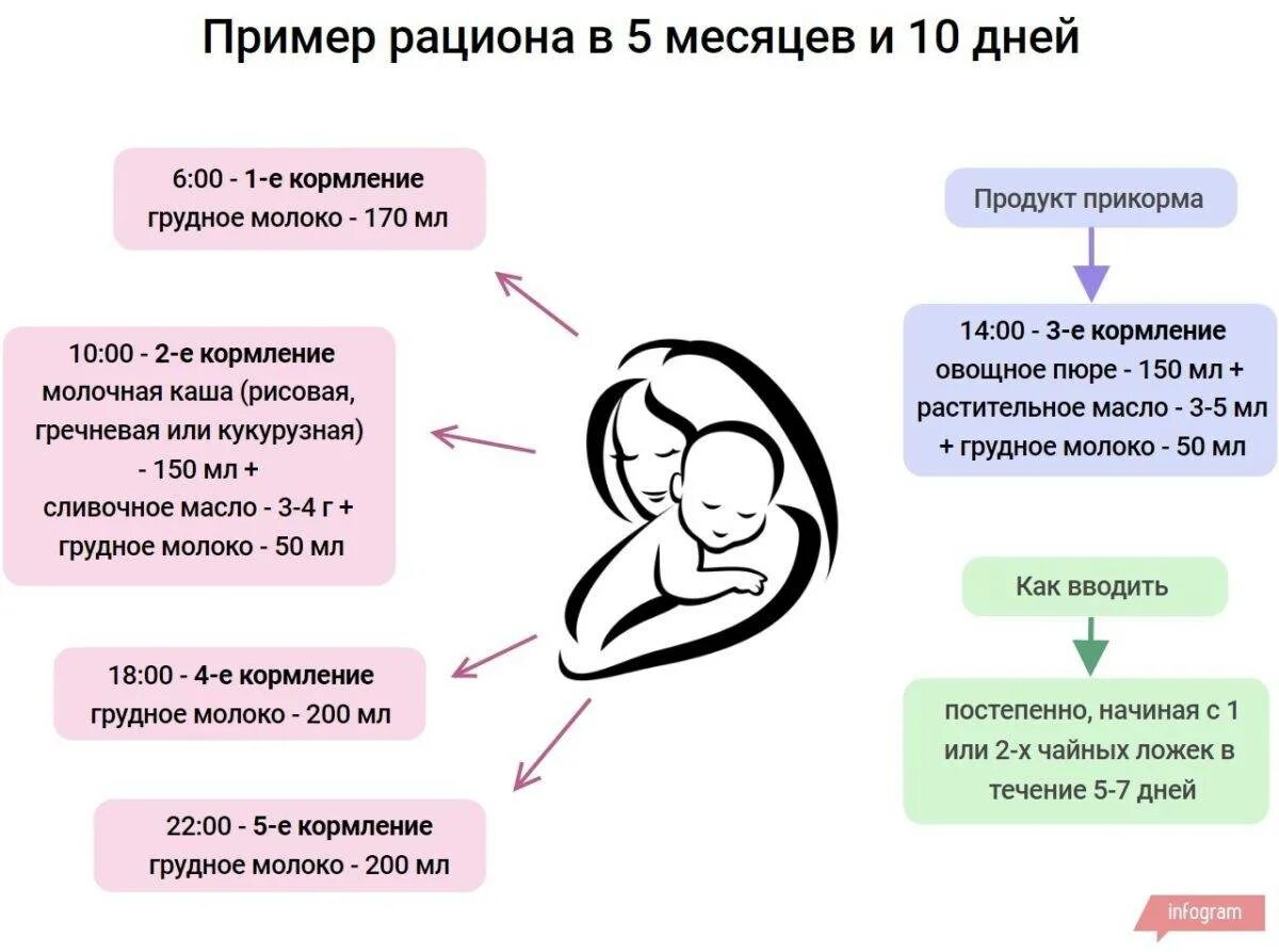 Кормление ребенка в 5 месяцев на грудном. Пример кормления в 5 месяцев. Рацион 5 месячного ребенка на гв. Кормление ребенка в 5-6 месяцев на грудном вскармливании.