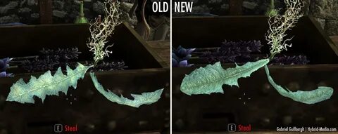Skyrim plants