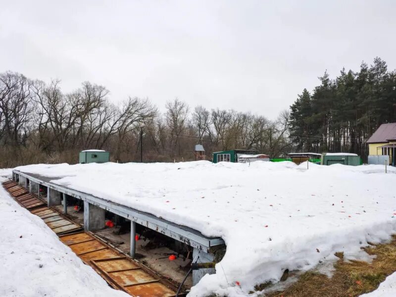 Курск требует. Стрелково-стендовый комплекс рсоо. Курск требует. Курск требует. Тула, улица радищева, 8.