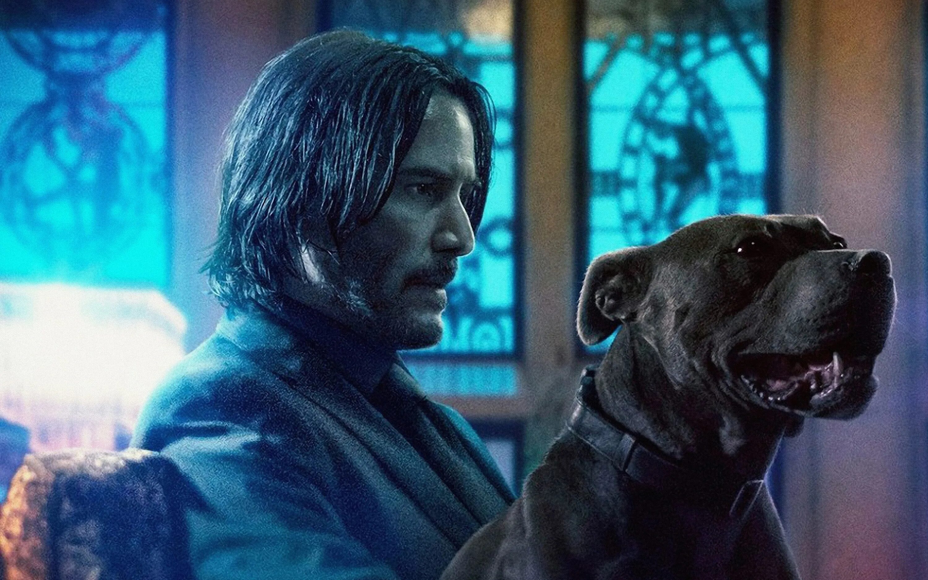 Фильм макс. Никита панфилов пёс 1 сезон. Максим максимов сериал пес. Максим максимов сериал пес. Невероятный мир глазами энцо (2019).