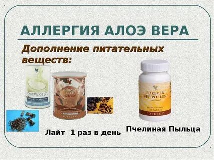 Программа аллергии