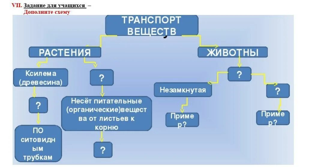 Какие вещества участвуют в транспорте веществ. Транспорт веществ схема. Транспорт веществ у растений и животных. Транспорт веществ у растений и животных схема. Транспорт веществ у животных таблица.