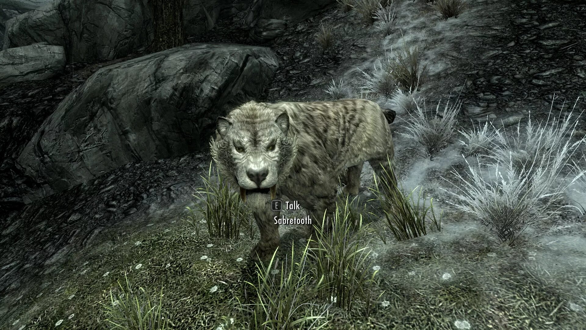 Animals skyrim