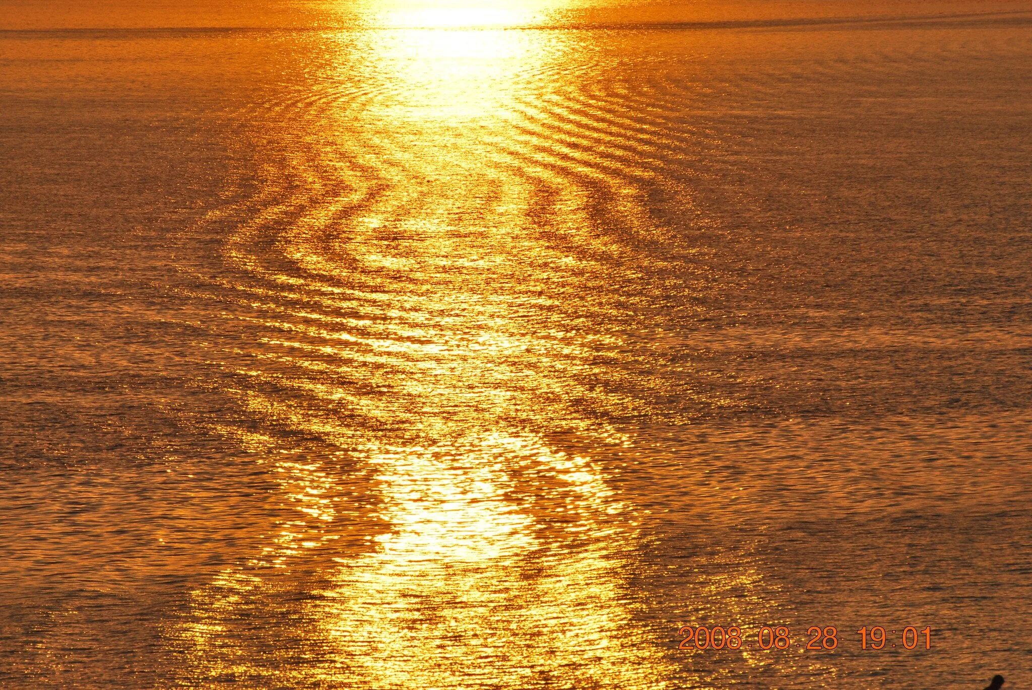 Gold sunset. Золотое море. Золотой закат на море. Золотое солнце. Море золота.