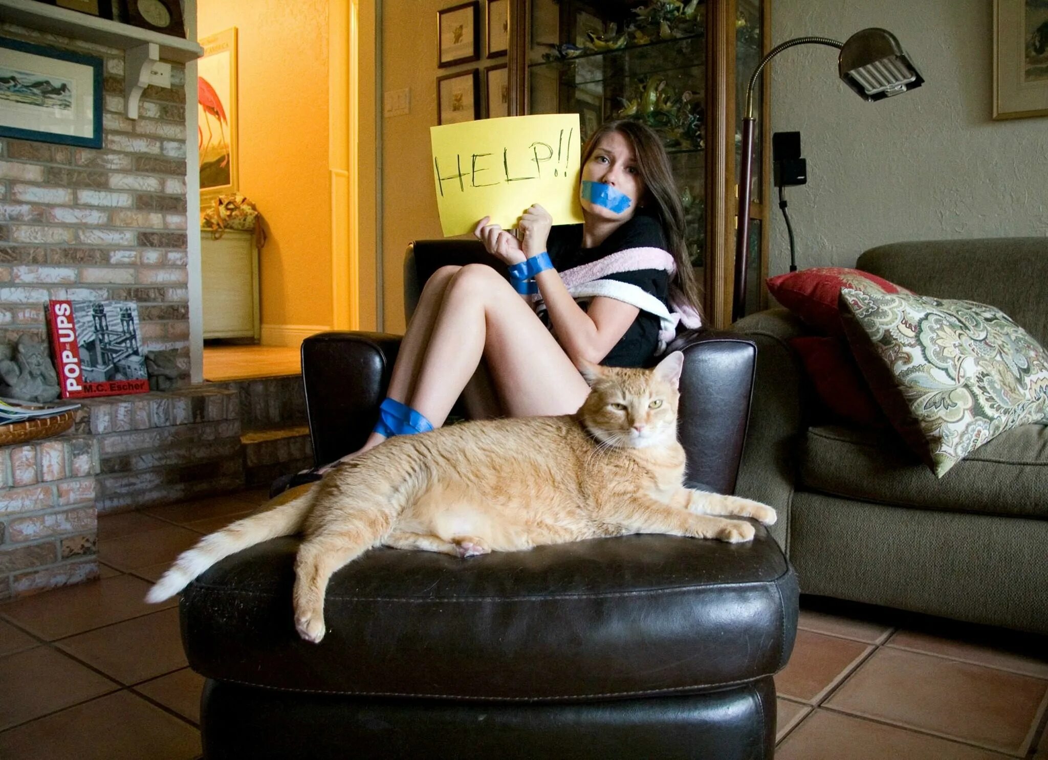 Таня хозяйка кота. Кот на диване. Фотосессия с котом. Девушка с котом смешные. Кошка и хозяин.