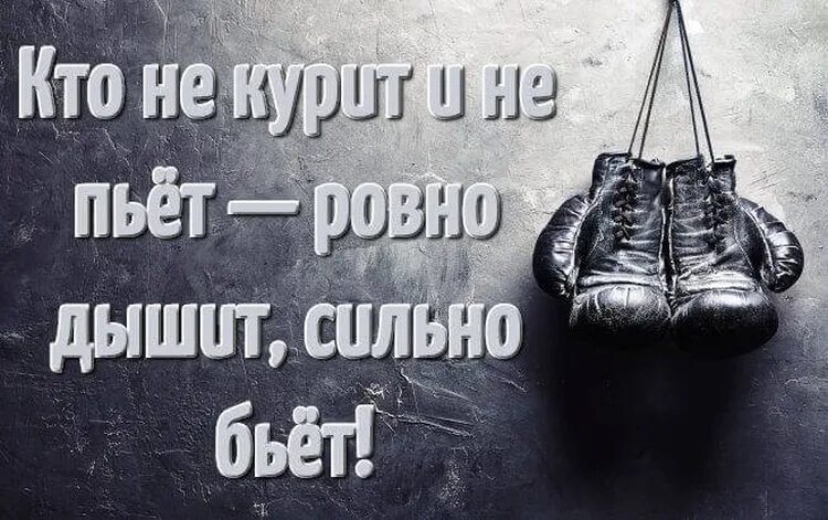 Ее сильно били. Спортивные цитаты. Цитаты про спорт. Цитаты про спорт со смыслом. Сильные цитаты про спорт.