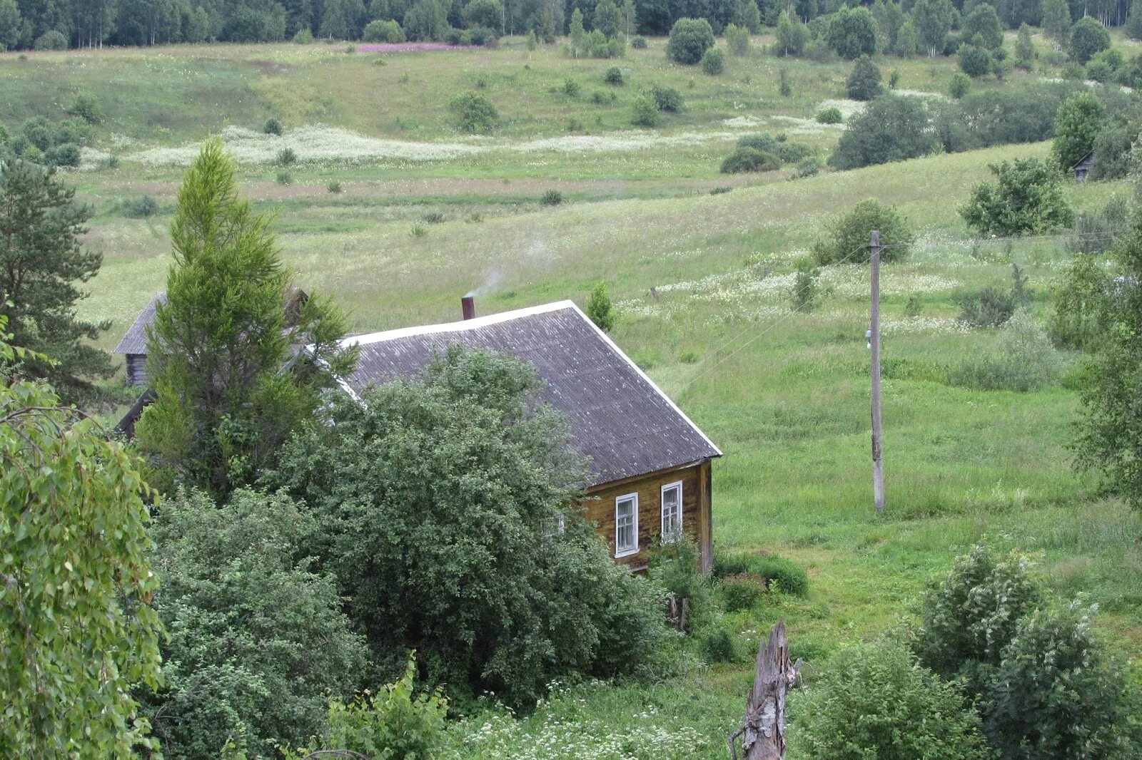 Рп5 чихачево бежаницкий