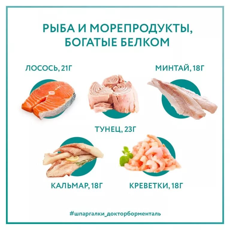 В рыбе содержится белок. Морепродукты содержащие белок. Рыба источник белка. Быба с большим содержанием белков. Белковая рыба