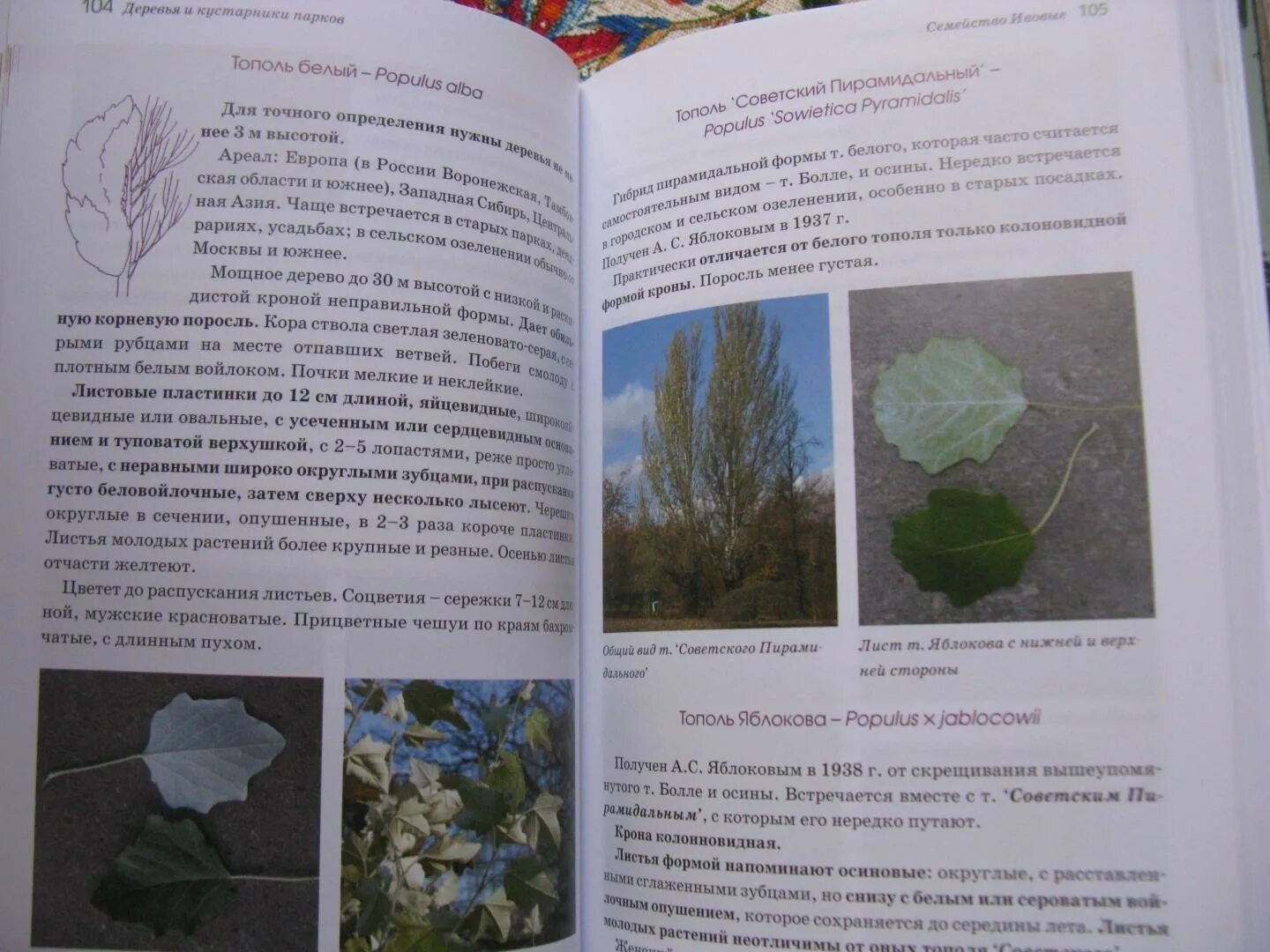Определители деревьев и кустарников