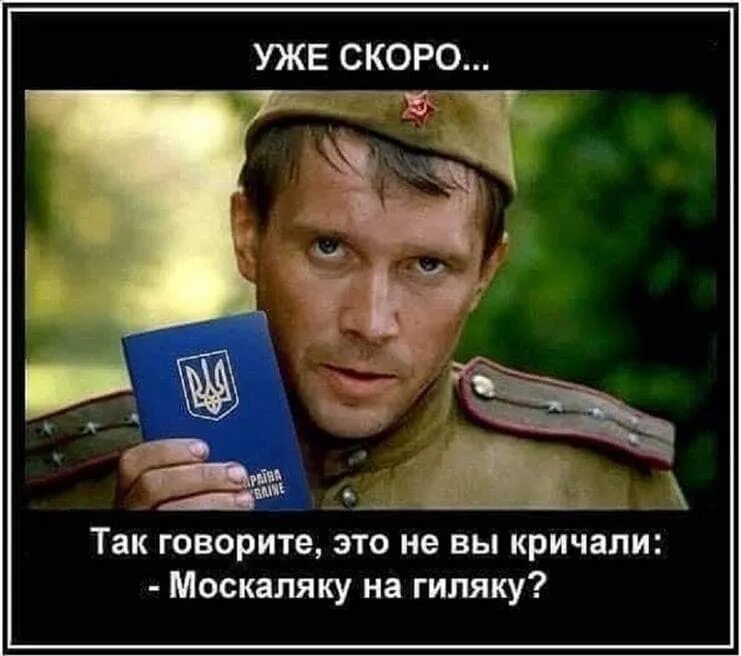 Сказала скоро 7. Москаляку на гиляку. Это не вы кричали москаляку на гиляку. Москаляку на гиляку перевод. Москаляку на гиляку демотиватор.