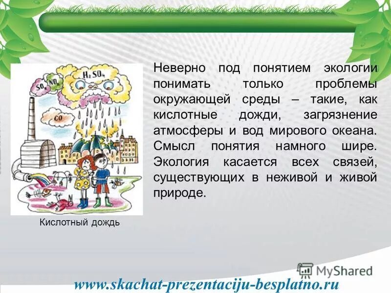 Экологическая ниша факторы среды. Под окружающей средой понимают. Отвел значение. Под окружающей средой понимают. Понятие окружающей среды.