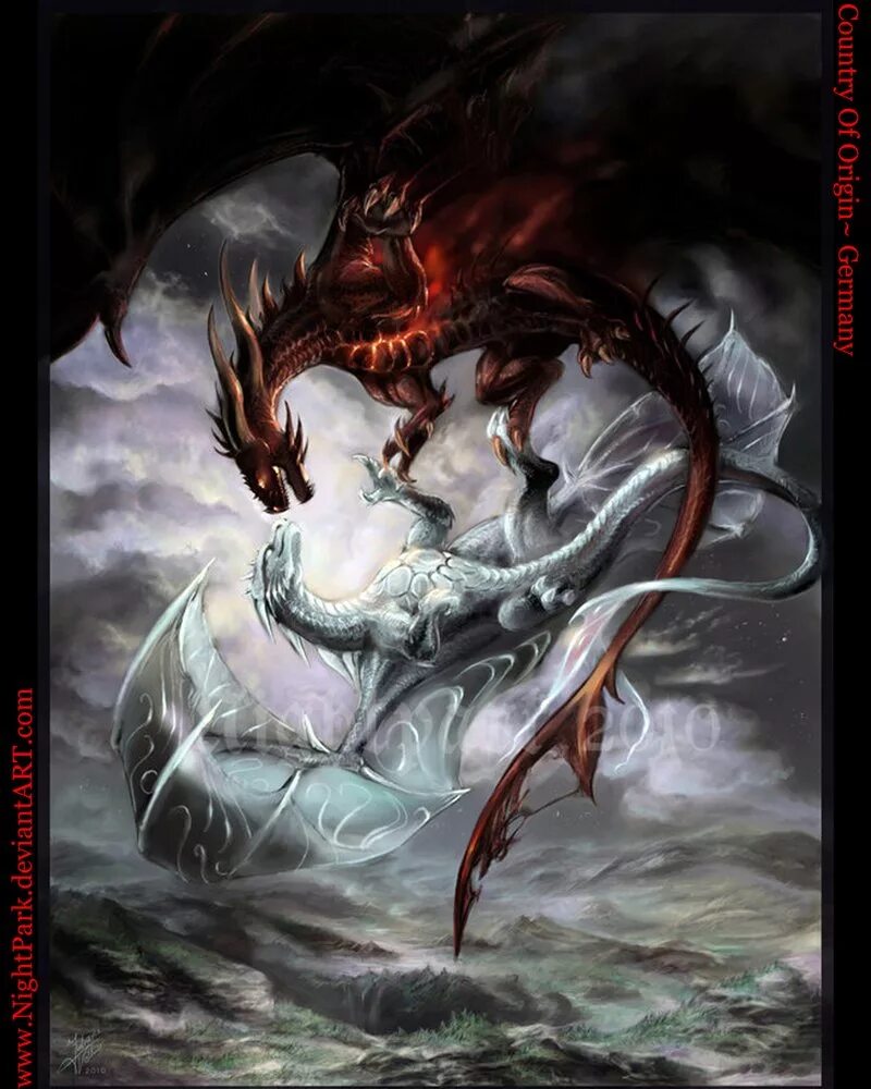 Два дракона. Дракон любви. Истинная для двух драконов. Истинная для двух драконов. Истинная для двух драконов.