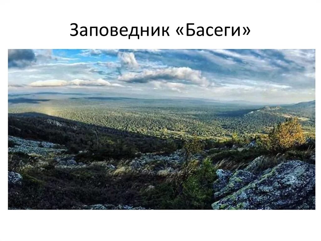 Заповедник басеги сообщение. Басеги пермь заповедник. уральские горы басеги. заповедник басеги пермский край животные.