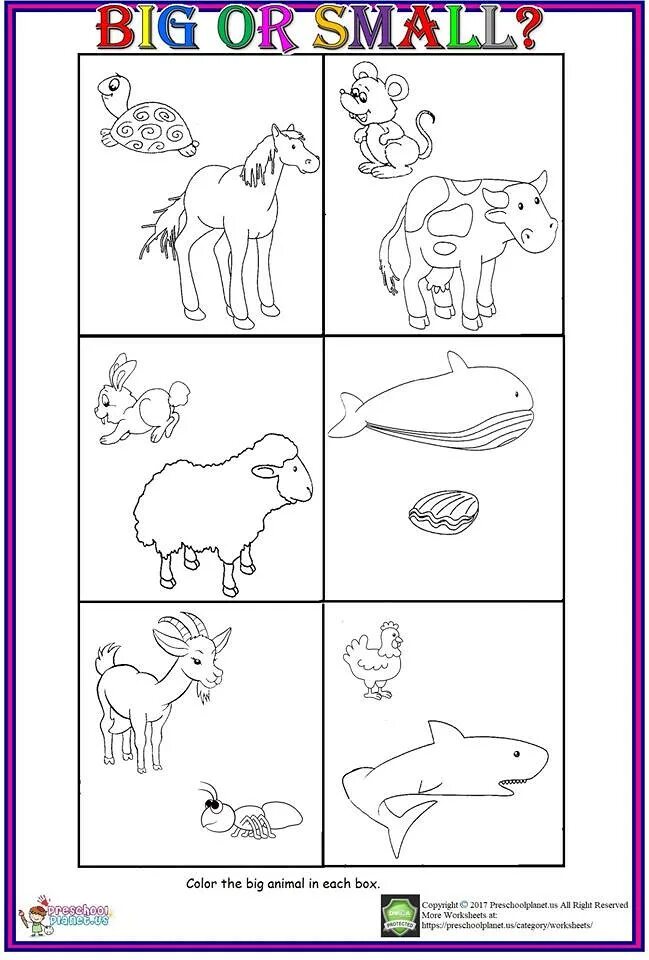 Big small animals. Big small задания для детей. Задания small big для дошкольников. Animals раскраска Worksheets for Kids. Big little упражнения для детей.