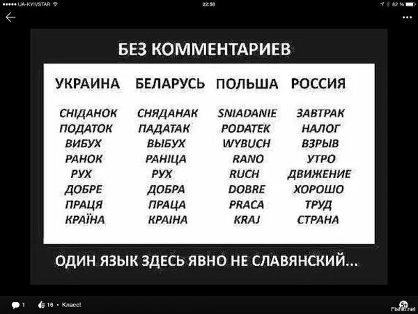 Новый украинский язык. Сходство русского и украинского языков. Украинские слова. Польский и русский языки. Новый украинский язык.