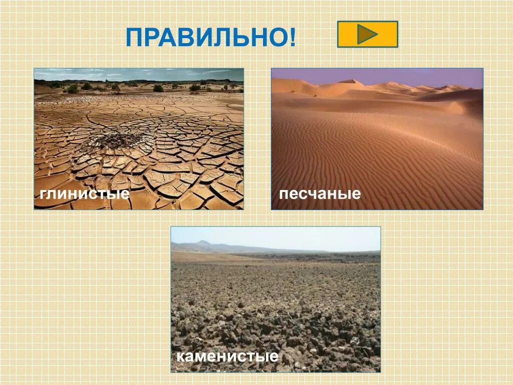 Песок и глина какая природная зона. Природная зона песок и глина. Природная зона песок и глина в России. В России пустыни песчаные или глинистые. Для этой природной зоны характерны песок и глина.