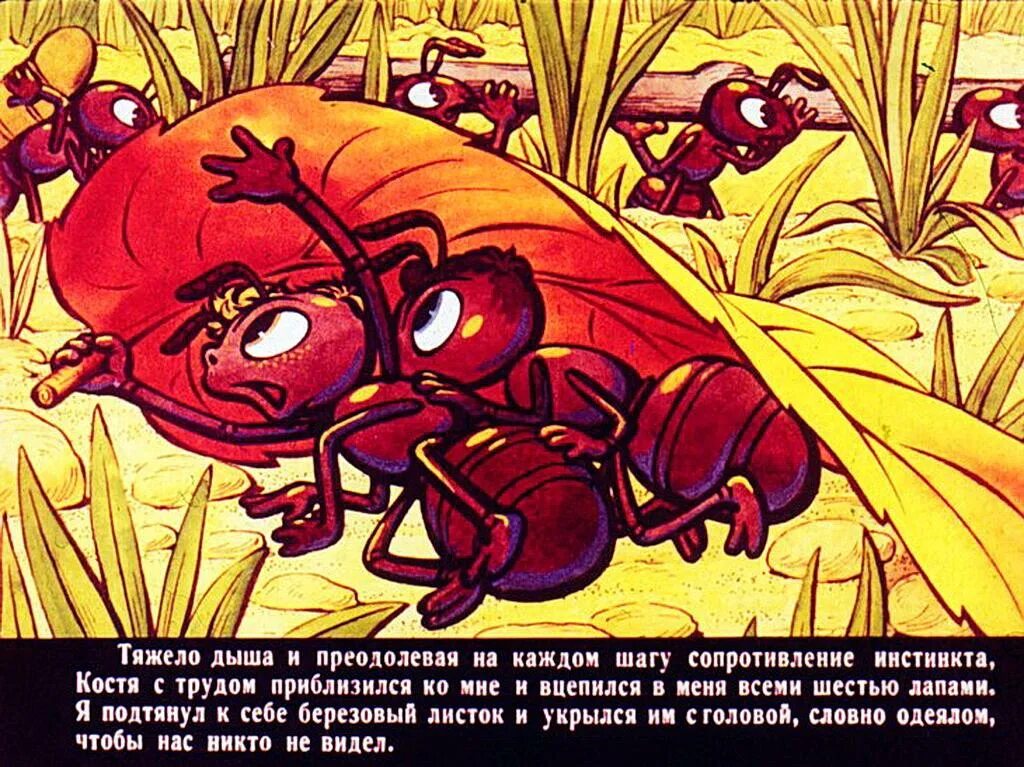 Баранкин будь человеком мирмики. Баранкин будь человеком полностью. Баранкин будь человеком полностью. Баранкин быть человеком. Медведев баранкин будь человеком иллюстрации.