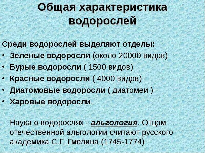 5 признаков водорослей. Общая характеристика водорослей. Основная характеристика водорослей. Общая хар ка водорослей. 3. Общая характеристика водорослей..