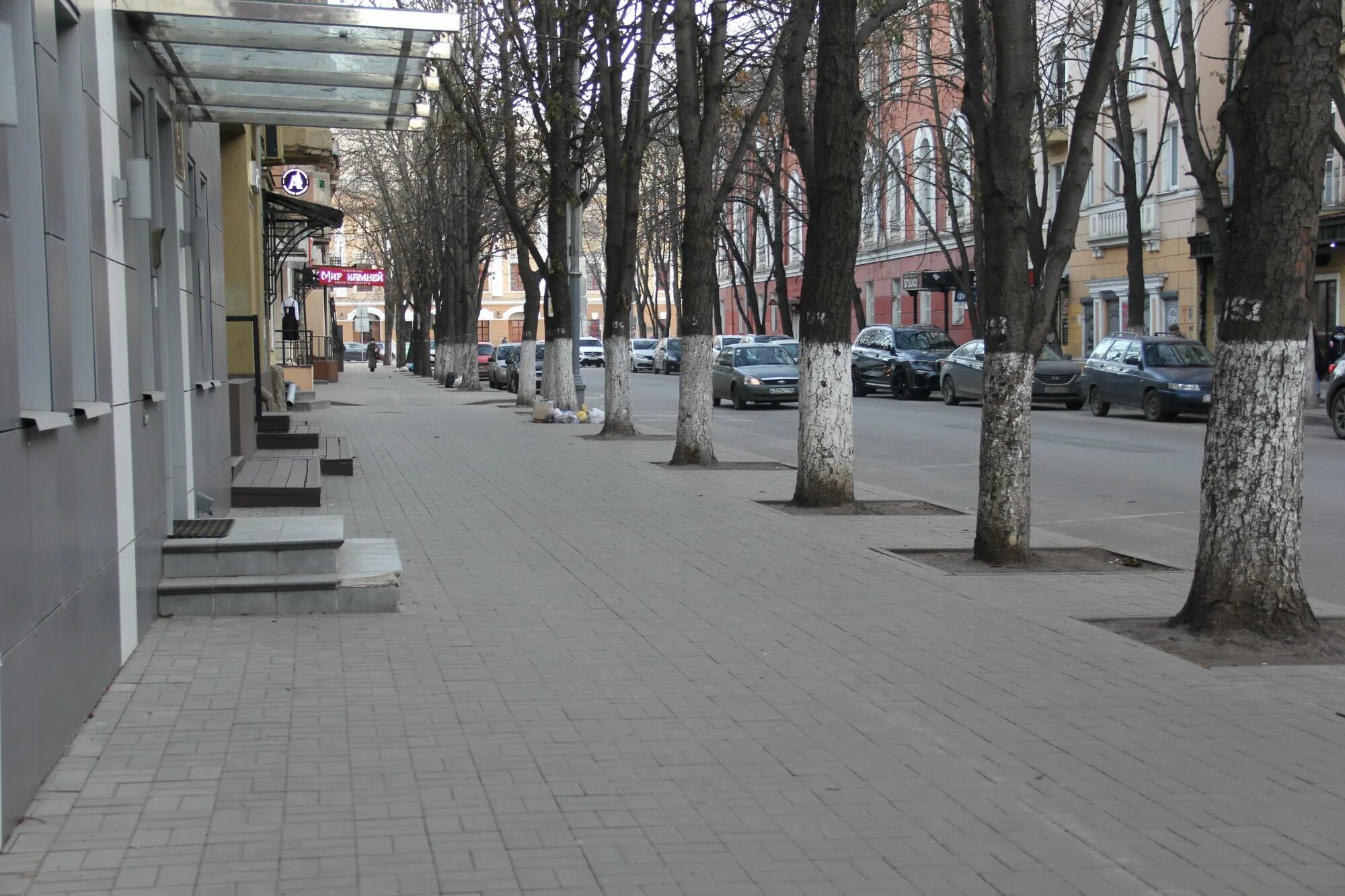 Твц воронеж сегодня. Ковид в Воронеже. Нежла Воронеж. Воронежские эффектные люди на улицах Воронежа. Воронеж фото с телефона.