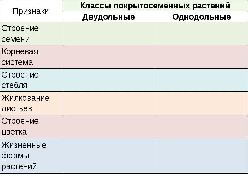 3 признака класса двудольные. Однодольные и двудольные растения таблица. Сравнительная характеристика однодольных и двудольных растений. Сравнительная таблица однодольных и двудольных растений. Сравнительная характеристика классов двудольные и Однодольные.