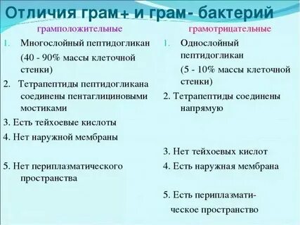 Ти ти грам