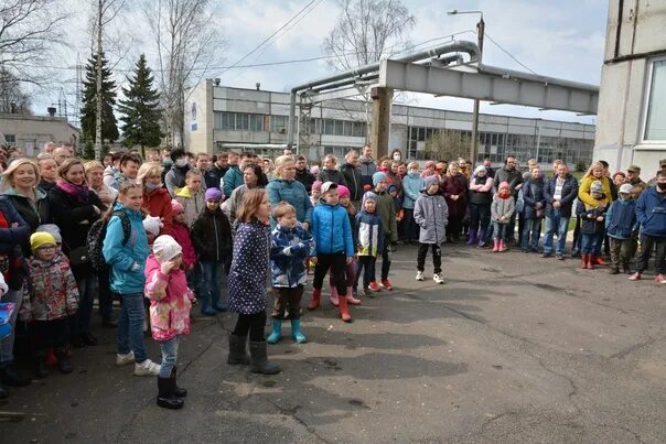 Субботник Вологда. Субботники ко Дню Победы в барятинском районе. 17 апреля выйдет