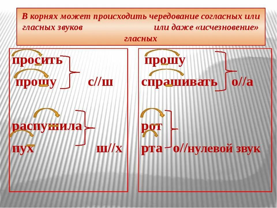 Однокоренные слова с чередованием в корне. Чередование согласных в корне. Корень слова с чередованием согласных. Чередующиеся согласные в корне. Чередование согласных с и ш в корне.