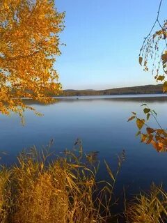 Линево забайкальский край
