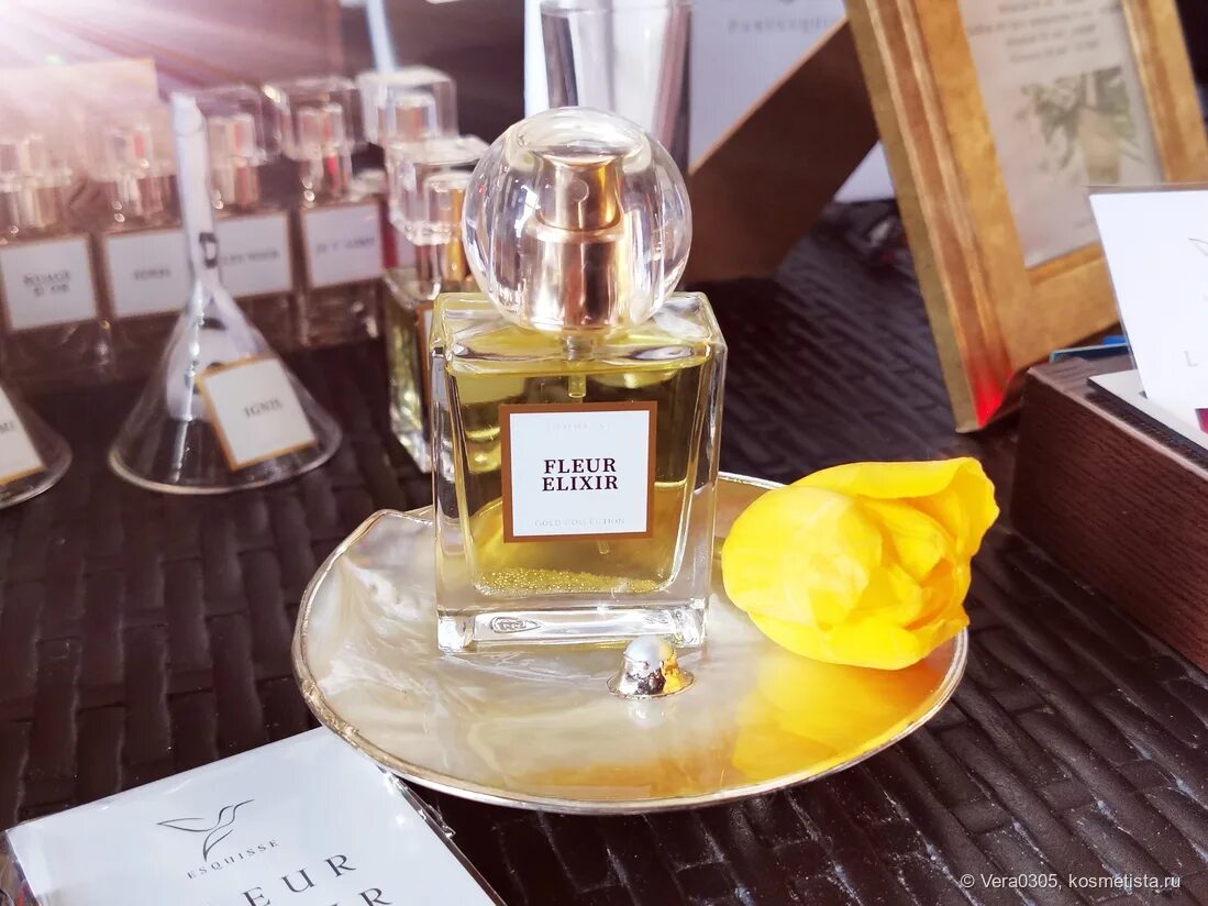 Vert insight incarna parfums