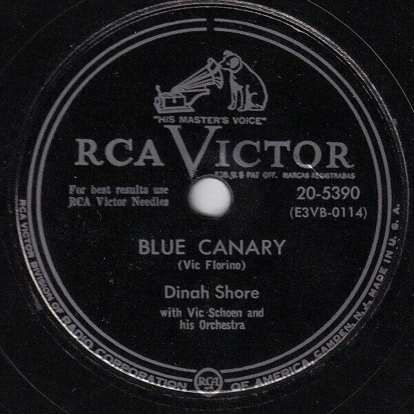 Vincent Fiorino Blue Canary. Голубые Фиорино канарейки. Blue canary текст