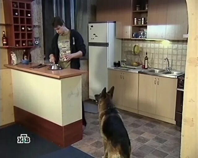 возвращение мухтара 5 3. якс ди аллертал мухтар павел вишняков. возвращение мухтара 5 3. сериал возвращение мухтара василиса. александр чуприков возвращение мухтара.