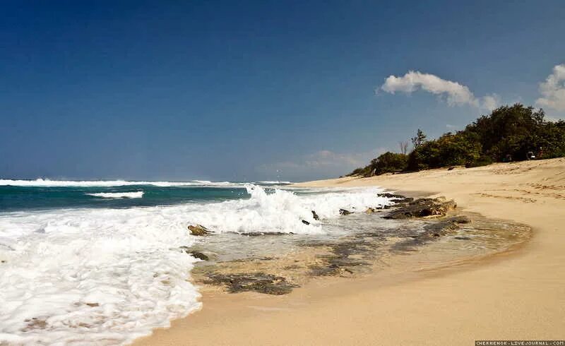 Бесплатное видео дикого пляжа. Гавайи дикий пляж. Дикий пляж. Дикие пляжи Флориды. Дикие пляжи Северной Америки.