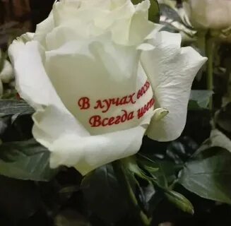Букет цветов с надписью