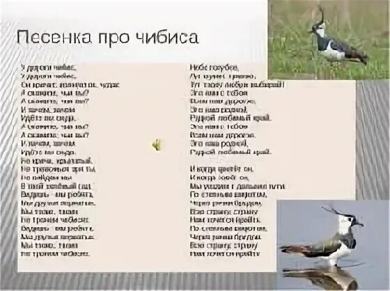 Песни русских птиц. У дороги Чибис слова. Песенка про Чибиса. Птицы песня текст. Песенка у дороги Чибис.