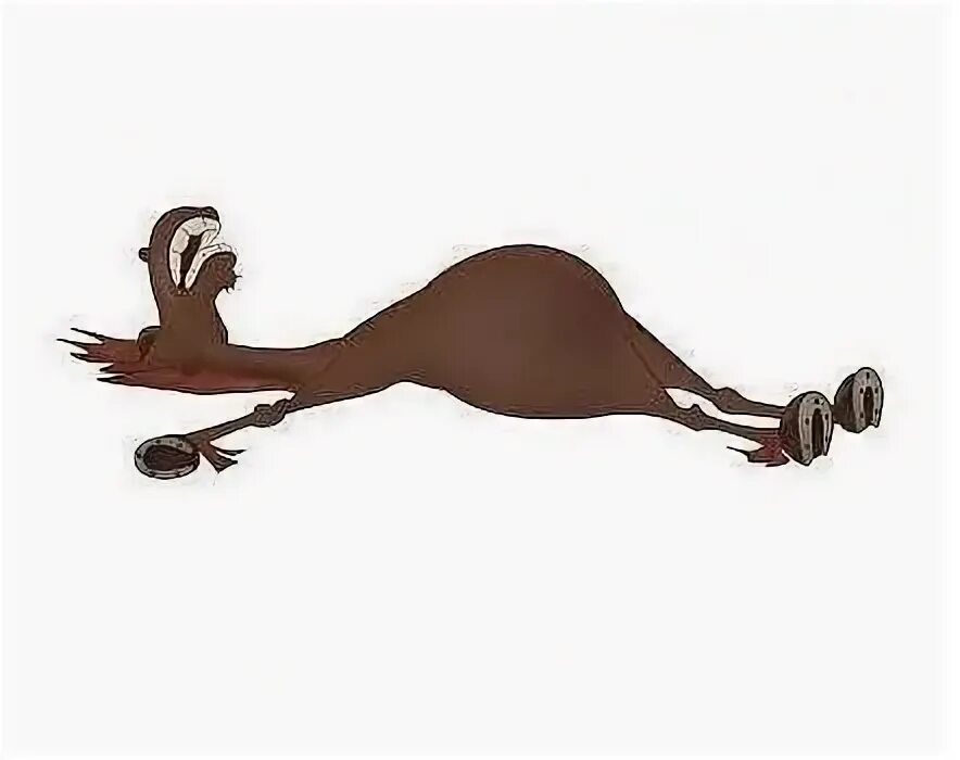 Лошадь откинула копыта. Статусы про работу прикольные. Забавные стишки про работу. Шутки про плед. Прикольный стих я люблю свою работу.