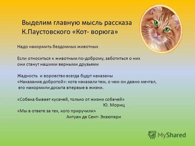 Рассказ Паустовского кот ворюга. Кот-ворюга Паустовский план. Кот-ворюга план рассказа. Рассказ Паустовского кот. Главная мысль рассказа кот ворюга