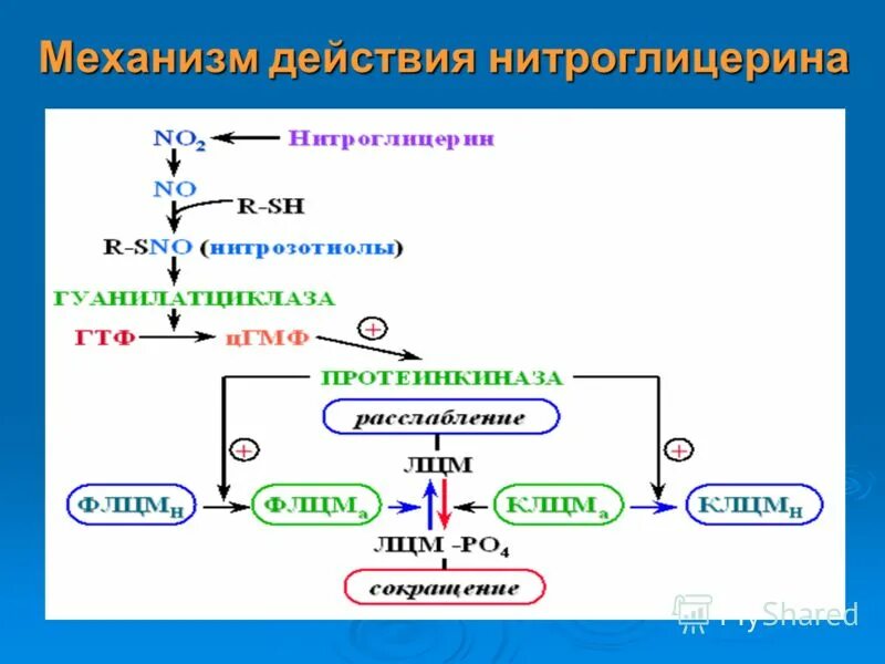 Группы органических нитратов